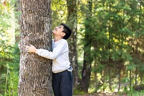 Un niño abrazando un árbol, disfrutando de la naturaleza.