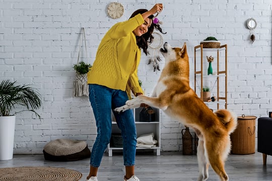 Mujer se divierte con su canino, mientras cuentan con el seguro de mascotas Colsubsidio